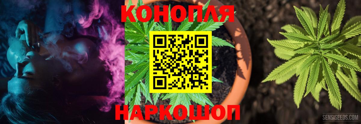 МАРИХУАНА тримм  Вход с VPN  Каннабис планчик  Кострома 